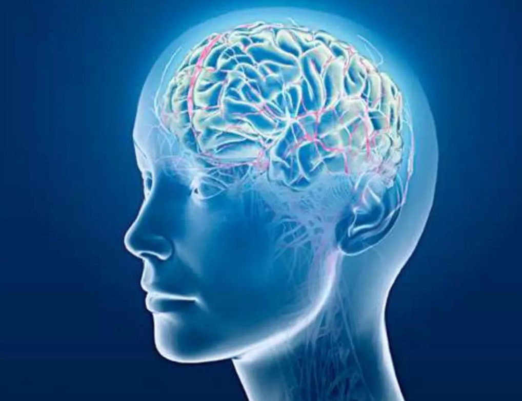 Brain chronic disease